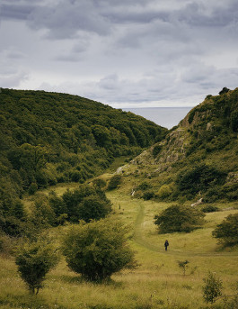 Mika Mika Photography