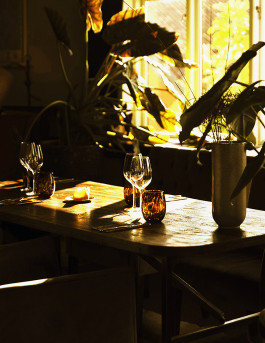 Mika Mika Photography