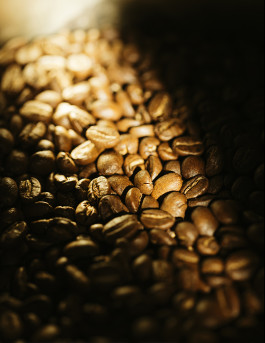 Mika Mika Photography